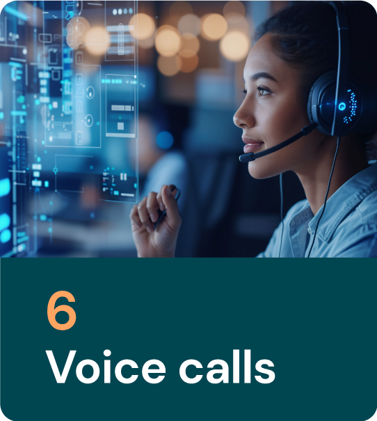 6_Voicecalls 6_Voicecalls