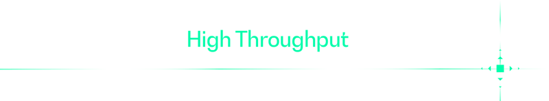 What does high throughput provide?